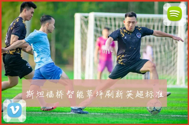 斯坦福桥智能草坪刷新英超标准