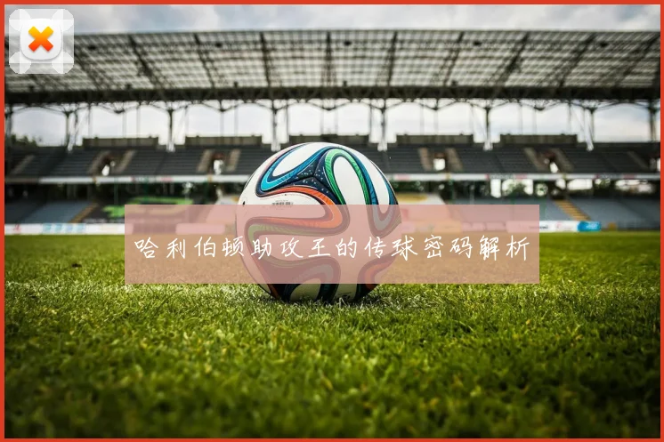 哈利伯顿助攻王的传球密码解析