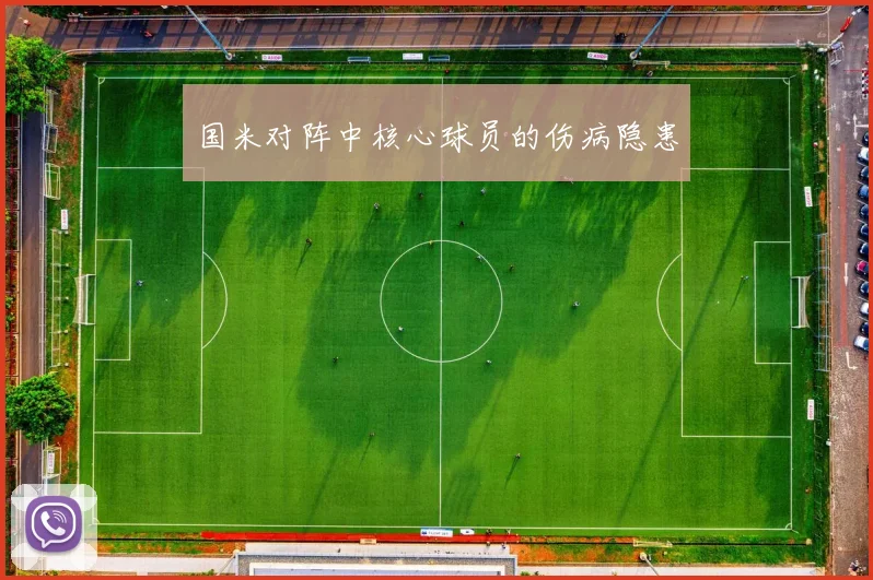 国米对阵中核心球员的伤病隐患