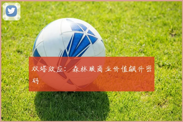 双塔效应：森林狼商业价值飙升密码