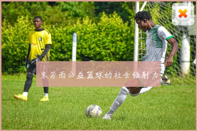朱芳雨公益篮球的社会辐射力