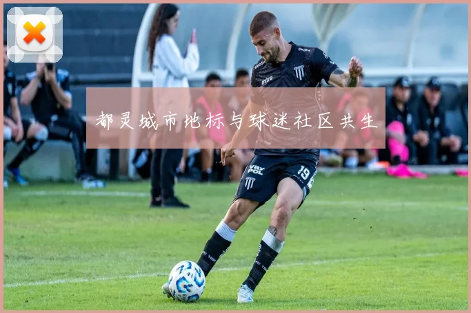 都灵城市地标与球迷社区共生