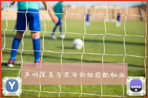声呐探鱼与深海钓组搭配秘诀