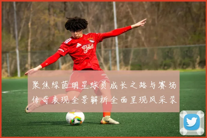 聚焦绿茵明星球员成长之路与赛场传奇表现全景解析全面呈现风采录