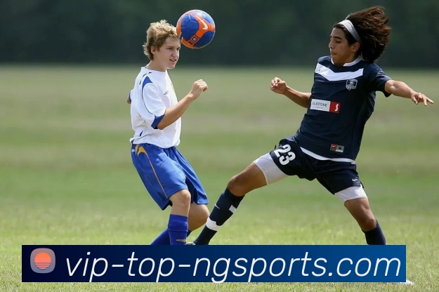 ng体育平台生态图